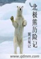 北极熊历险记