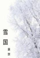 雪国-袁京京版