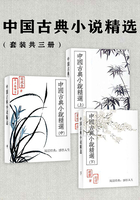 中国古典小说精选（套装共三册）
