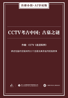 CCTV考古中国：古墓之谜（谷臻小简·AI导读版）