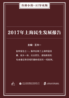 2017年上海民生发展报告（谷臻小简·AI导读版）